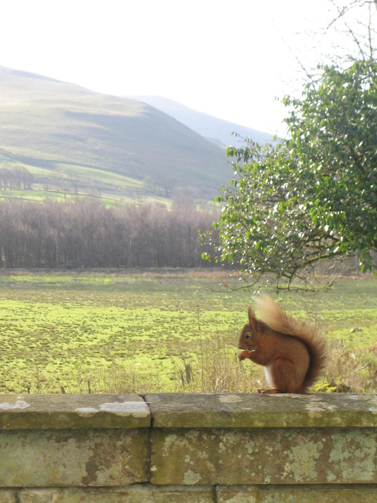 Overwater Hall Bassenthwaite Bagian luar foto